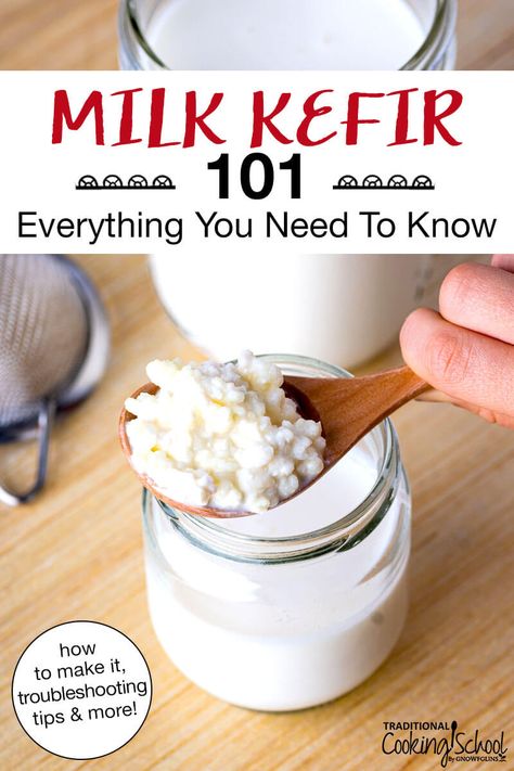 Kefir Yogurt Recipes, Milk Kefir Recipes, Milk Kefir Grains, Water Kefir Grains, Fermented Recipes, Make Sour Cream, Kefir Yogurt, Homemade Milk, Coconut Milk Yogurt