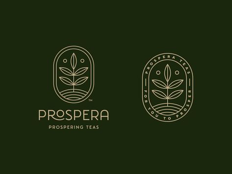 Tea Logo, Coffee Shop Logo, Logo Unique, Logo Luxury, Tea Design, Coffee Logo, Cafe Logo, Tea Brands, Natural Logo