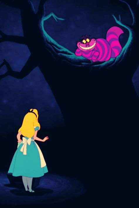 Alice meets the Cheshire Cat Alice In Wonderland 1951, Alice In Wonderland Disney, Alice Liddell, Disney Alice In Wonderland, Your Spirit Animal, Art Disney, Disney Alice, Lewis Carroll, Adventures In Wonderland