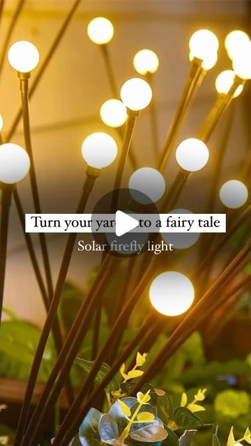 Architect land | Interior | Landscape on Instagram: "✨Let your garden come to life with the magical golws of firefly solar light✨
.
Perfect for any outdoor space (exterior decor, summer night)
.
Warm light | colorful | Windproof | Rainproof |Snowproof | Sunscreen |  7 Colors | Free shipping 
.
Order now ➡️ Link in *products highlighte*
 .
For more info➡️ website:
https://architect-land.com/product/led-solar-garden-lights/
.
For more info➡️ Email: architectland8@gmail.com

@architectland_store 
@architect_landd 

#solarfireflylight #solarlights #garden #gardendesign #architecture #exteriordesign #solarenergy #architecture #gardendesign #summervibes #summernight #summerlight #exteriordesign" Interior Landscape, Firefly Lights, Garden Light, Garden Lights, Solar Garden, Solar Lights Garden, Exterior Decor, Light Summer, Summer Night