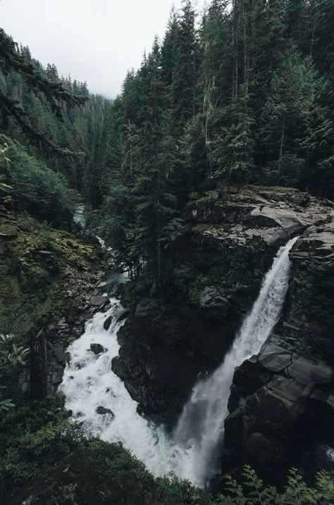 Crafts Nature, Nature Waterfall, Dark Forest Aesthetic, Harry Potter Movie, The Borgias, Forest Aesthetic, Movie Mistakes, Beauty Flowers, Beautiful Roads