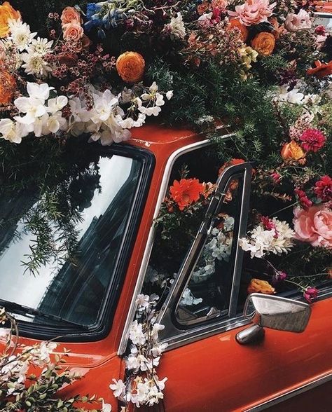 Car With Flowers, No Rain, Black Mamba, Red Aesthetic, Beautiful Blooms, Flower Child, Love Flowers, My Flower, Pretty Flowers