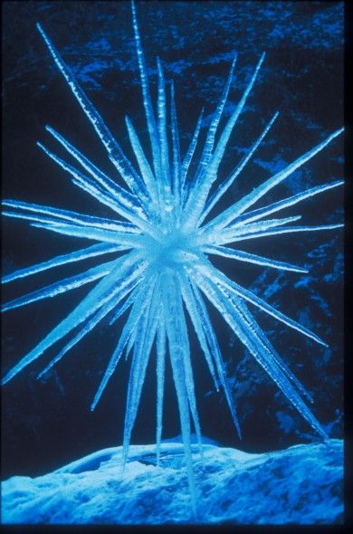 Bronya Rand, Andy Goldsworthy, Sun Prints, Rhapsody In Blue, Ice Star, Im Blue, Blue Things, Blue Pictures, Snow Ice