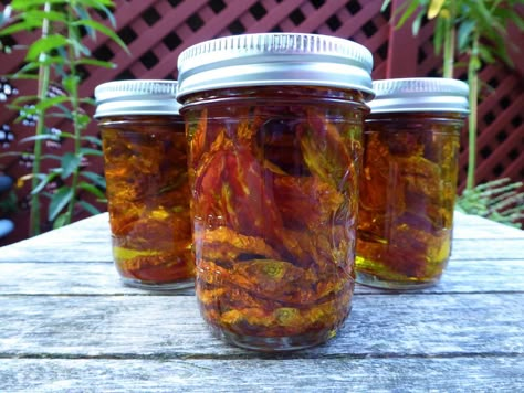 How To Make And Can Sun Dried Tomatoes, Canning Sundried Tomatoes In Olive Oil, Canned Sundried Tomatoes, Sundried Tomato In Oil, Canned Sundried Tomato Recipes, Sun Dried Tomatoes In Olive Oil, Sun Dried Tomatoes In Olive Oil Recipe, Canned Sun Dried Tomatoes, How To Can Sun Dried Tomatoes