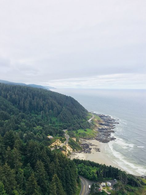 Cape Perpetua Oregon, Yachats Oregon, Winchester, Painting Art, The Forest, The Ocean, Oregon, Mood Board, Cape