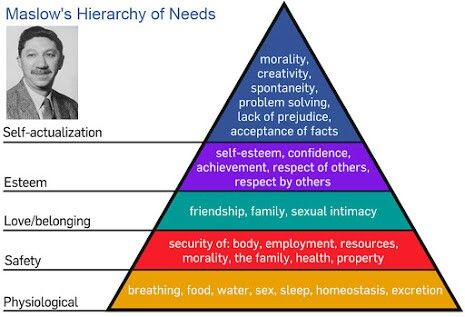 . Maslow’s Hierarchy Of Needs, Hierarchy Of Needs, Maslow's Hierarchy Of Needs, Viktor Frankl, Abraham Maslow, Self Actualization, Self Concept, Developmental Psychology, Nclex