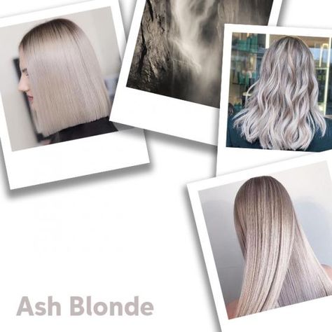 How to Create Dark Ash Blonde Hair | Wella Professionals Dark Ash Blonde Hair, Mum Hair, Ash Gray Hair Color, Beige Blonde Hair Color, Ash Grey Hair, Ash Brown Balayage, Blonde Toner, Ash Brown Hair Color, Dark Ash Blonde