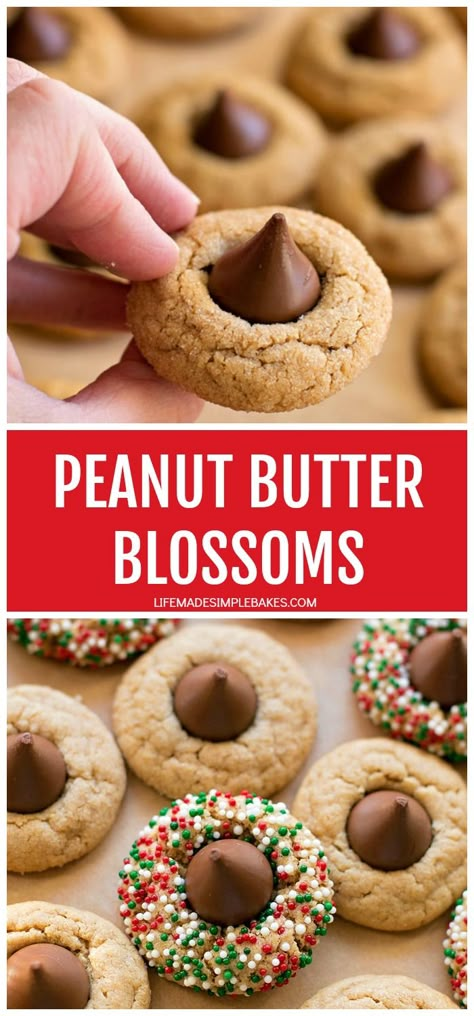 These peanut butter blossoms are a holiday classic. A soft, chewy peanut butter dough gets rolled in sugar and pressed with a chocolate candy kiss. #peanutbutterblossoms #blossomcookies #peanutbuttercookies #cookies #kisscookies Peanut Butter Blossoms Cookies, Blossoms Cookies, Peanut Butter Blossoms Recipe, Peanut Butter Kiss, Peanut Butter Kiss Cookies, Soft Peanut Butter Cookies, Blossom Cookies, Kiss Cookies, Peanut Butter Blossoms