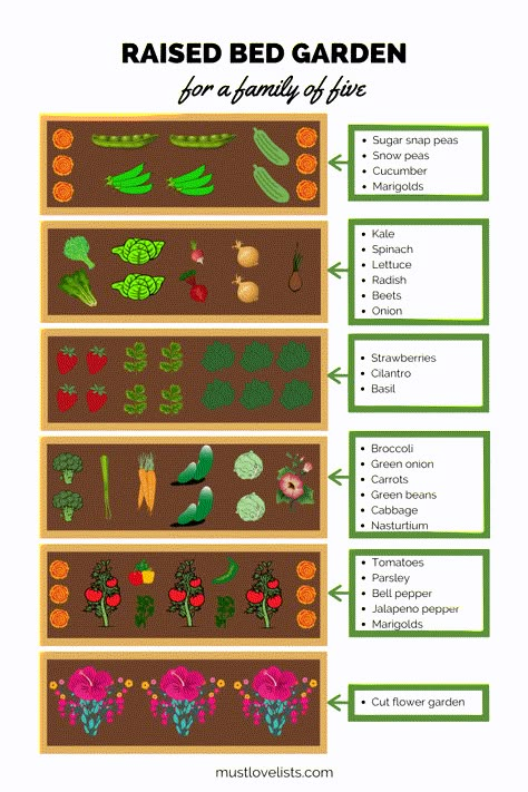 Garden Plot, Raised Garden Bed Plans, Raised Bed Garden, Vegetable Garden Raised Beds, Backyard Garden Layout, Garden Layout Vegetable, Vegetable Garden Planning, Vegetable Garden Diy, Garden Plan