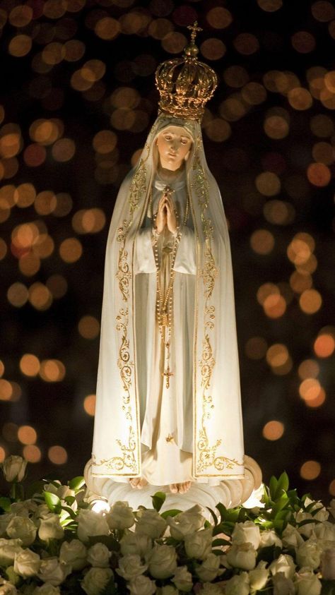 Madha Amma Images, Fatima Wallpaper, Virgin Mary Wallpaper, Mother Mary Wallpaper, Mary Jesus Mother, Mother Mary Pictures, Blessed Mother Statue, Jesus Mother, Mother Mary Images