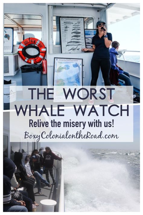 We went on the most miserable whale watch in history. Come with me as I revisit the trauma! Whale Watching Outfit, Wildlife Travel, Safari Travel, Come With Me, Okinawa Japan, Chicago Restaurants, Maybe Someday, Kids Watches, Whale Watching