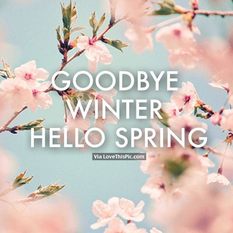 Goodbye Winter, Hello Spring Hello Spring Quotes, March Pictures, Goodbye Winter Hello Spring, Goodbye February, February Hello, Goodbye Winter, Spring Preschool Activities, Lesson Plan Ideas, Hello Sunday