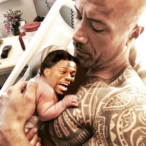 Kevin Hart Meme, Kevin Hart Funny, Funny Photoshop, The Rock Dwayne Johnson, Kevin Hart, Dwayne The Rock, Dwayne Johnson, Really Funny Pictures, Funny Photos