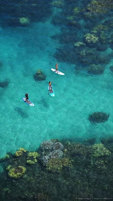 Summer In Hawaii, Hawaii Water, Landscape Tropical, South Europe, Summer Beach Vibes, Tropical Places, Paddle Board Surfing, Palm Tree Island, Tropical Water