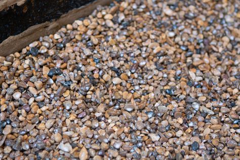 Using Mulch Glue On Pea Gravel | The DIY Playbook Mulch Glue On Pea Gravel, Landscaping Rock Glue, Pea Gravel For Dogs, How To Glue Pea Gravel, Inexpensive Driveway Ideas Budget, Pea Gravel Pathway Ideas, Pea Gravel And Mulch Landscaping, Landscape Rock Glue, Pea Gravel Walkway Pathways