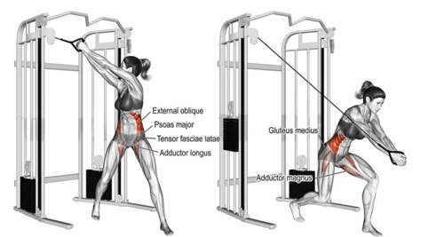 The cable wood chop is also known as the cable up-down twist, you must add these oblique workouts to your love handles exercises arsenal. Wood Chop Exercise, Cable Workouts, Cable Exercises, Cable Machine Workout, Great Ab Workouts, Wood Chop, Cable Workout, Oblique Workout, Ab Workout Men