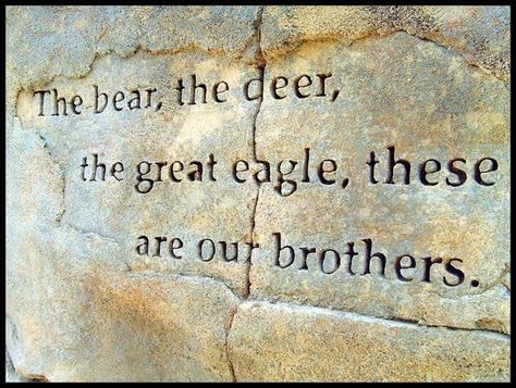 The Great Spirit, American Proverbs, Native American Prayers, Native American Proverb, Native American Spirituality, Great Spirit, About Mother, American Quotes, Native American Wisdom