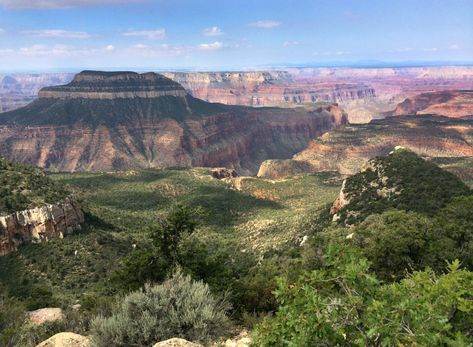 Kaibab National Forest - Rainbow Rim Trail #10 Area Activities, Park Forest, Show Horse, Forest Service, Road Trippin, National Forest, Main Street, Grand Canyon, Places To Go