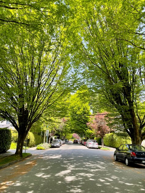 Vancouver Canada Apartments, Vancouver Suburbs, Vancouver Aesthetic, Kitsilano Vancouver, Ubc Vancouver, Vancouver Life, Vancouver Summer, Vancouver Neighborhoods, Vancouver Apartment