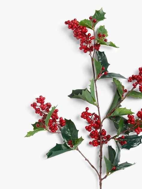 Watercolor Botanicals, Holly Flower, Hung Over, Holly Plant, Christmas Home Decorations, Holly Bush, Winter Foliage, Artemis Fowl, Berry Plants