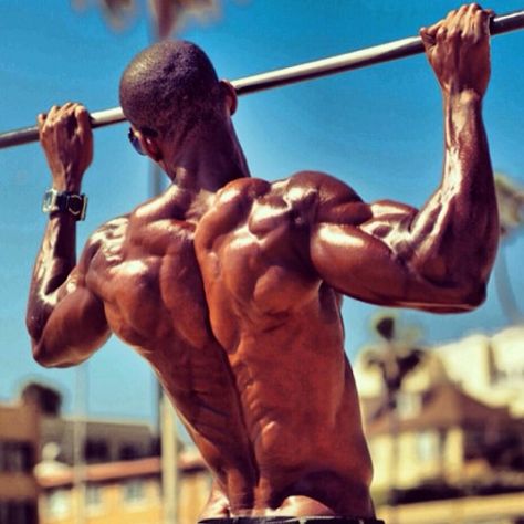 This article serves as a guide to assist in developing a bigger, thicker, more muscular back. Muscular Back, Beginner Full Body Workout, 남성 근육, Full Body Workout Plan, Treadmill Workouts, Body Workout Plan, Street Workout, Body Anatomy, Gym Inspiration