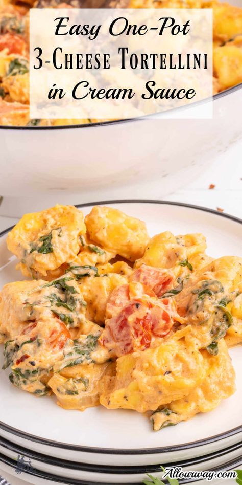 Five Cheese Tortellini Recipes, 5 Cheese Tortellini Recipes, Three Cheese Tortellini Recipes, Cream Sauce With Spinach, Three Cheese Tortellini, Pasta Tortellini, Cheese Tortellini Recipes, Spinach Tortellini, Baked Penne