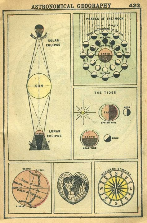 ASTRONOMICAL Charts Lunar Solar Eclipse MOON Phases Tides Vintage 190… Arte Peculiar, The Solar System, Scientific Illustration, Solar Eclipse, Ravenclaw, Book Of Shadows, Moon Phases, Sacred Geometry, Solar System