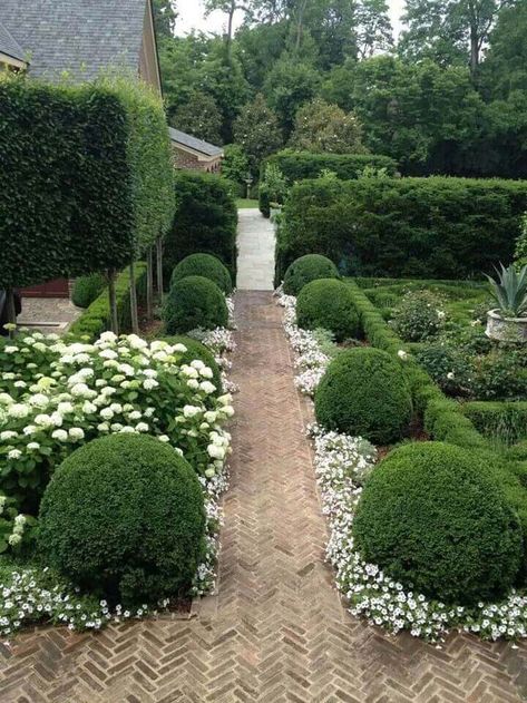 25 Beautiful Garden Path and Walkway Ideas That Are Easy To Copy | Decor Home Ideas Flower Hedge, Boxwood Garden, Formal Garden, Have Inspiration, Formal Gardens, Garden Pathway, White Gardens, Gorgeous Gardens, Green Garden