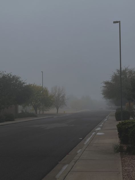 Foggy Morning Aesthetic, Foggy Street, Winter Mood Aesthetic, Aesthetic Fog, Foggy Aesthetic, Foggy Trees, Calming Photos, Calming Pictures, Dark Forest Aesthetic