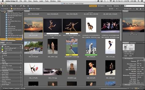 Software Workshop: How to organize your photos with Adobe Bridge Adobe Bridge, Adobe Software, Photography Advice, New Tools, Adobe Creative Cloud, Photo Organization, Adobe Creative, Photography Gear, How To Organize