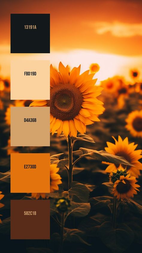 Colors: 13191A ° FBD19D ° D4A36B ° E2730D ° 582C18 A Field Of Sunflowers, Yarn Color Combinations, Field Of Sunflowers, Yellow Petals, Color Design Inspiration, Orange Color Palettes, Hex Color Palette, Color Palette Challenge, Yellow Colour Scheme