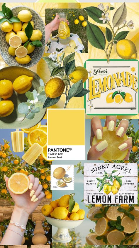 Fruit Mood Board, Aesthetic Collage Yellow, Lemon Farm, Mint Outfit, Fresh Lemonade, Sicilian Lemon, Fruit Wallpaper, Lemon Decor, Lemon Mint