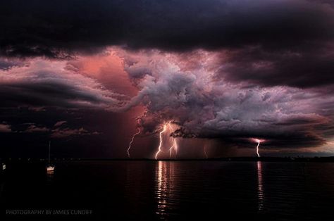 James Cundiff Lightning Storm Over Tampa by James Cundiff #WeAreAlive #Nature #Photography #NaturePhotography Pink Thunder, Cer Nocturn, Wild Weather, Lightning Storm, Dark Clouds, Lightning Strikes, Natural Phenomena, A Storm, Beautiful Sky