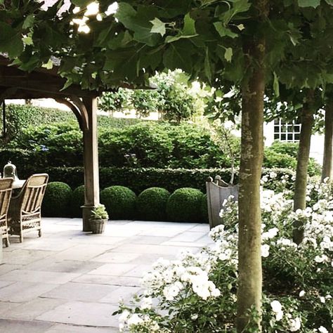 844 Likes, 4 Comments - Melissa Penfold (@melissa_penfold) on Instagram: “Via @belgianpearlsblog” Belgian Interior Design, Belgian Pearls, Rustic Exterior, Meditation Garden, Belgian Style, Moon Garden, Interior Design Photos, Hello Lovely, Formal Gardens