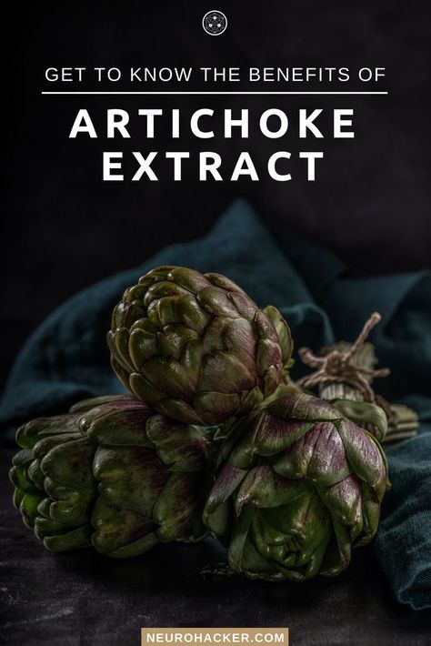 Artichoke Benefits, Easy Grilled Shrimp Recipes, Weight Log, Log Journal, Artichoke Extract, Brain Boosting Foods, Cooking The Perfect Steak, Brain Supplements, Meatless Main Dishes