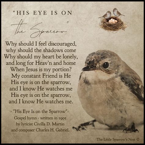 His Eye Is On The Sparrow Quote, His Eyes Are On The Sparrow, His Eye Is On The Sparrow, Sparrow Bible Verse, Hymns Lyrics, Christian Song Lyrics, Christian Songs, Faith Inspiration, Bible Art