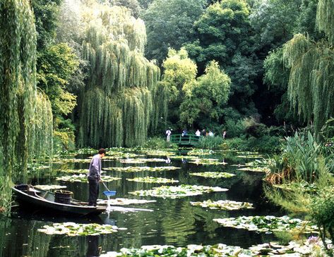 Claude Monet's water lily pond in Giverny, France.  The famous footbridge in the background.  Incredible inspiration. Water Lily Pond Monet, Monet Garden Giverny, 숲 사진, Giverny France, Claude Monet Water Lilies, Water Lily Pond, Monet Water Lilies, Lily Pond, French Garden