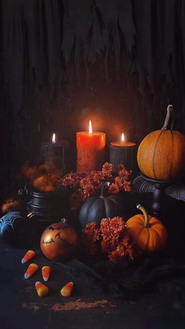 Samhain Greetings, Samhain Wallpaper, Samhain Art, Happy Samhain, Samhain Traditions, Pagan Practices, Halloween Color Palette, Blessed Samhain, Pagan Holidays