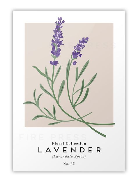 Modern minimalist Lavender botanical poster influenced by exhibition art - No. 035. Flower Drawing Wall Art, Lavender Art Aesthetic, Wall Prints Minimalist, Lavender Poster Aesthetic, Lavender Aesthetic Drawing, Lavender Graphic, Lavender Minimalist, Lavender Print, Aesthetic Poster For Room