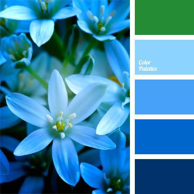 azure, blue and deep blue, blue and green, bright blue, cold colors, color of jeans, color palette for wedding, color range for wedding Cyan Colour, Color Schemes Colour Palettes, Kampot, Color Palate, Blue Colour Palette, Color Palette Design, Color Balance, Colour Schemes, Color Pallets