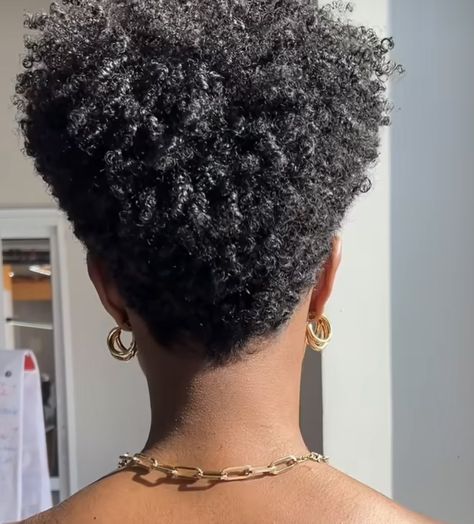 Tapered Hairstyles For Black Women, Fro Hawk Natural Hair, Natural Mohawk Styles For Black Women, Natural Tapered Cuts For Black Women, Short Afro Hairstyles 4c Hair, Twa Twist, Tapered Haircut Natural Hair, Twa Hairstyles 4c Hair, Hair Styles African American