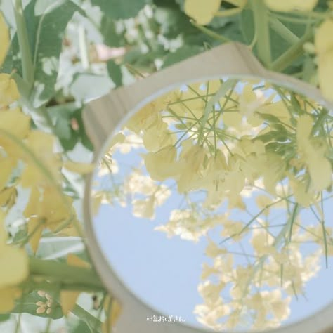 Light Acadamia, Green Pictures, Vintage Flowers Wallpaper, Light Blue Aesthetic, Iphone Wallpaper Kawaii, Nothing But Flowers, Chinese Art Girl, Phone Wallpaper Design, Light Spring