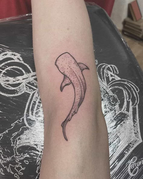 Cute whale shark tattoo with good simplistic detail located on the forearm near the elbow Simple Shark Tattoo, Small Shark Tattoo, Shark Tooth Tattoo, Shark Tattoo Ideas, Whale Shark Tattoo, Tooth Tattoo, 16 Tattoo, Ocean Tattoo, Whale Tattoos