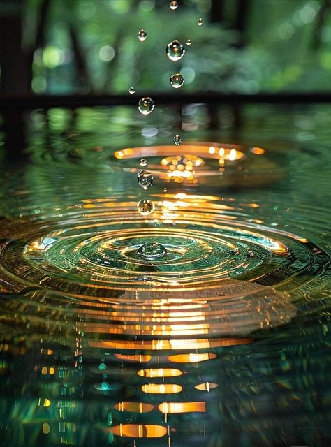 Pinterest Flowers, Meditation Images, Zen Wallpaper, Art Gallery Wallpaper, Pretty Wallpapers Backgrounds, Landscape Wallpaper, Water Drops, Instagram Inspiration, Amazing Nature