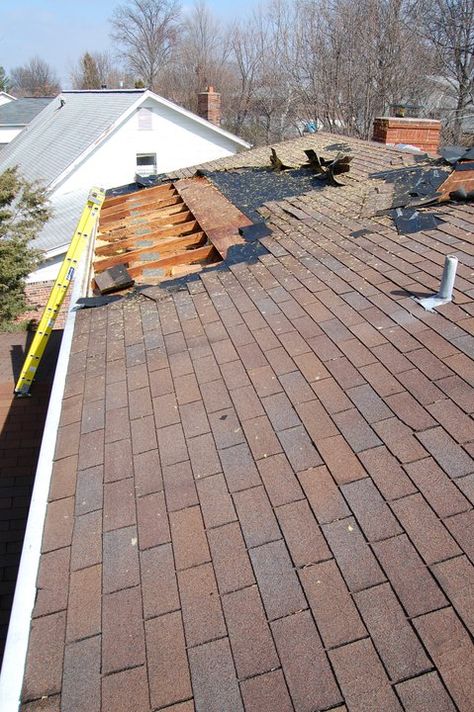 Roof Work, Roof Restoration, Clay Roofs, Roof Inspection, Roof Maintenance, Cool Roof, Roofing Services, Roofing Contractors, Roof Repair