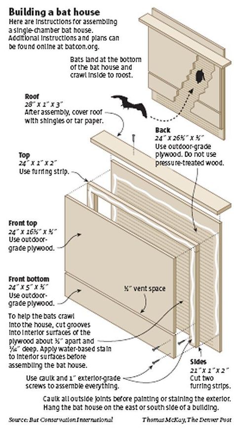 Scout goes to bats for Weld’s West Nile fight – The Denver Post Bat House Diy, Build A Bat House, Bat House Plans, Bat Box, Bat House, Bird House Plans, Bird House Kits, Planning Printables, Kit Homes