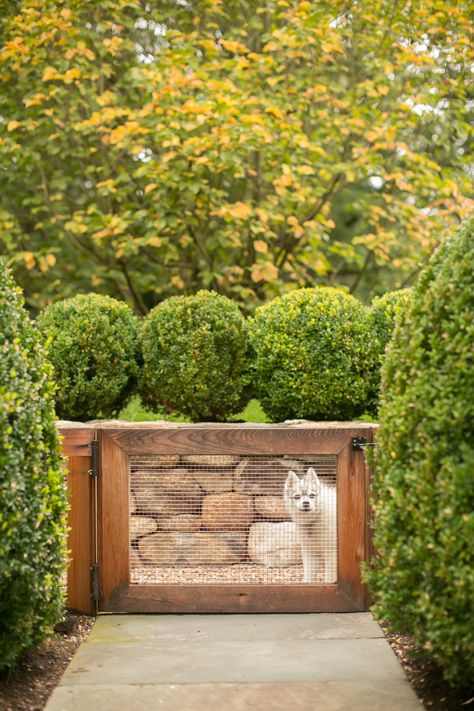 Mudroom Entrance, Mini Husky, Little Lime Hydrangea, Ranunculus Arrangement, Yard Gate, Dog Run, Climbing Hydrangea, Redbud Tree, Stone Retaining Wall