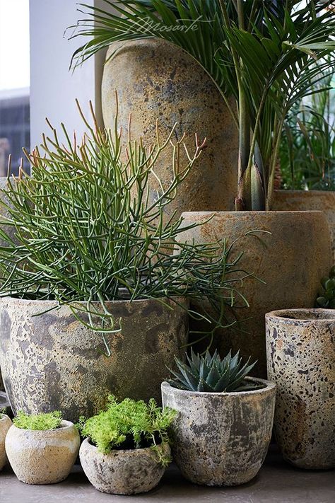 Pots With Plants, Moderne Have, Potted Plants Outdoor, Patio Pots, Outdoor Pots, Garden Containers, Courtyard Garden, Back Garden, Balcony Garden