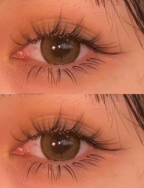 Coquette Eyelashes, Dolly Eyelashes, Kawaii Lashes, Dolly Lashes, Anime Eyelashes, Cute Eyelashes, Face Transformation, Manga Lashes, Lashes Fake Eyelashes