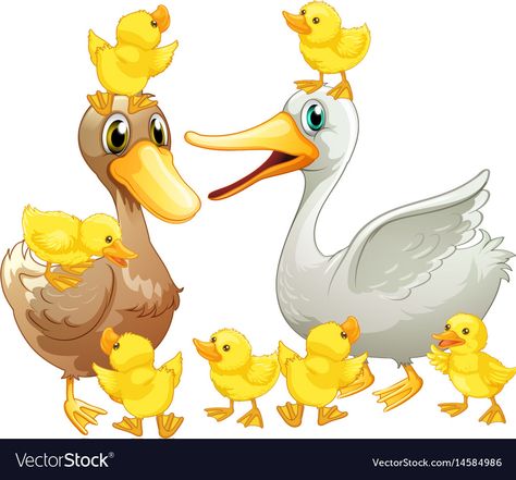 Duck family with little ducklings Royalty Free Vector Image Duckling Sketch, Duck Float, Duck Family, Cute Ducklings, Duck Cartoon, Bible Journaling Ideas Drawings, Duck Toy, Cartoon Elephant, Duck Face